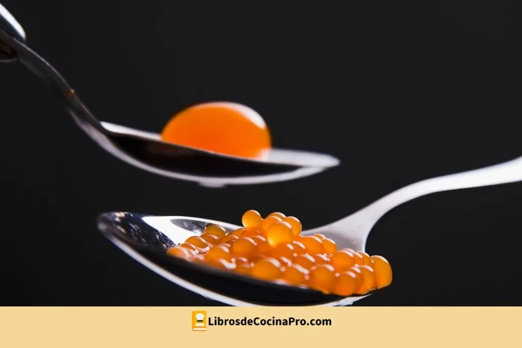 fundamentos de la gastronomía