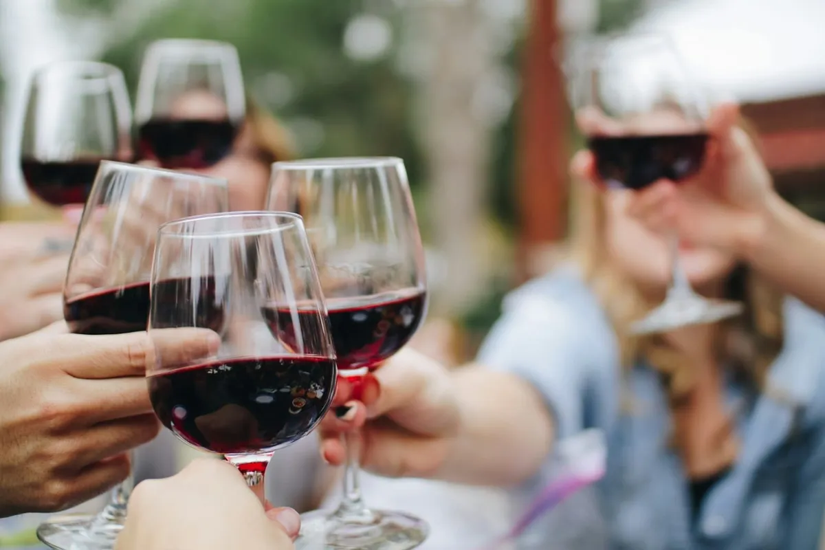 Descubre los Mejores Libros para Aprender de Vinos