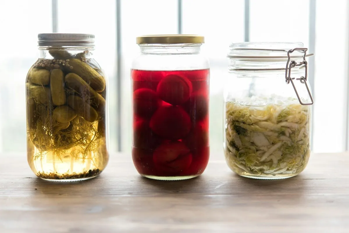 Los 10 Mejores Libros de Fermentación Casera para Principiantes