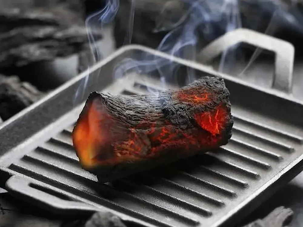 Los mejores libros de cocina para barbacoa, brasas y asado (2026)